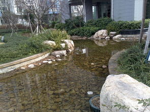 細(xì)節(jié)成就精品 園林景觀 powered discuz