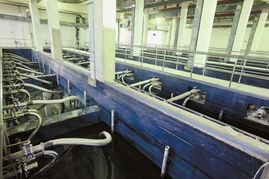 瀑布公園和第十一污水廠今年建成2014年01月10日 星期五a14 今日關(guān)注