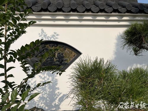 裕東公園建成開放 昔日違建徹底拆除 精品游園芳容初顯