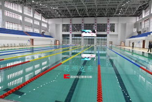 建室內(nèi)游泳館 郊野公園 污水處理廠 東鄉(xiāng)這兒大做水文章