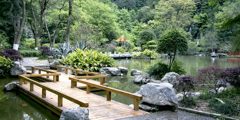 重慶峰宇園林建設|重慶園林規(guī)劃設計|重慶園林施工|重慶城市園林綠化|重慶花卉苗木|重慶園藝產(chǎn)品|重慶花木租售