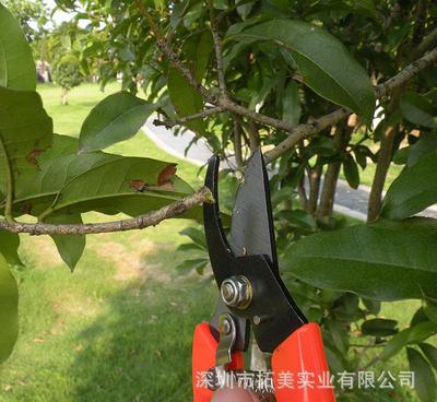 德國圣德保羅sd-311 15件園林工具套裝