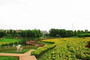 免費(fèi)的午餐沒(méi)有,但是這里有免費(fèi)又美麗的景致