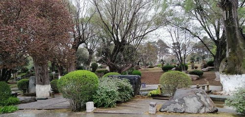 獨具南北園林特色兩千畝精品公園西安中園唐苑免費開放