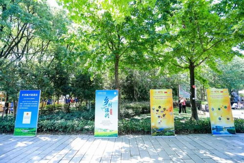 豐收世界畫豐收 金秋時(shí)節(jié)新米飄香,奉賢跨界農(nóng)產(chǎn)品增效又增收