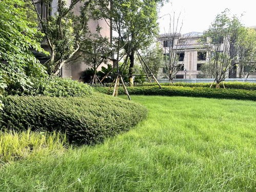 恒大精品園林獲業(yè)主好評(píng)