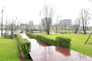 翠湖公園 萍水湖濕地公園 甘源食品等企業發展情況了解