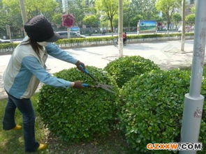 新余園林綠化企業(yè) 園林實業(yè)的綠色發(fā)展之路