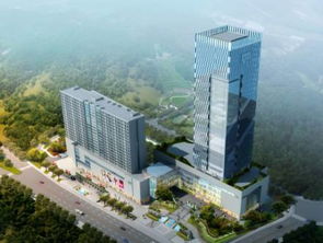 四川藍(lán)圖 未來五年打造最美農(nóng)業(yè)主題公園、國際康養(yǎng)城、文化特色街區(qū)與園林實業(yè)