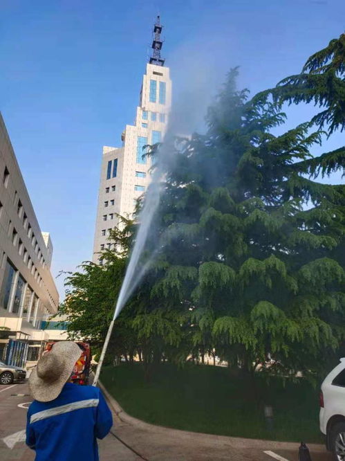 2021歡迎訪問 專業出租園林噴藥車，助力各類樹木養護——【實業集團】園林實業